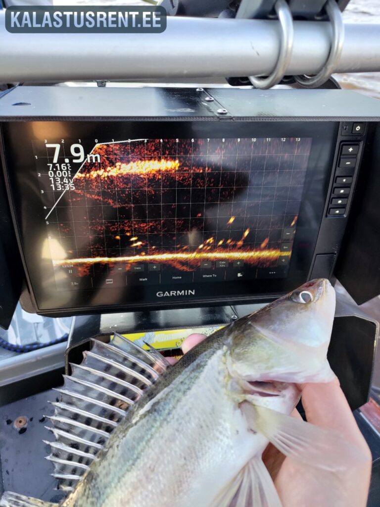 Live kajalood näitab kala reaktsiooni landi liikumisele