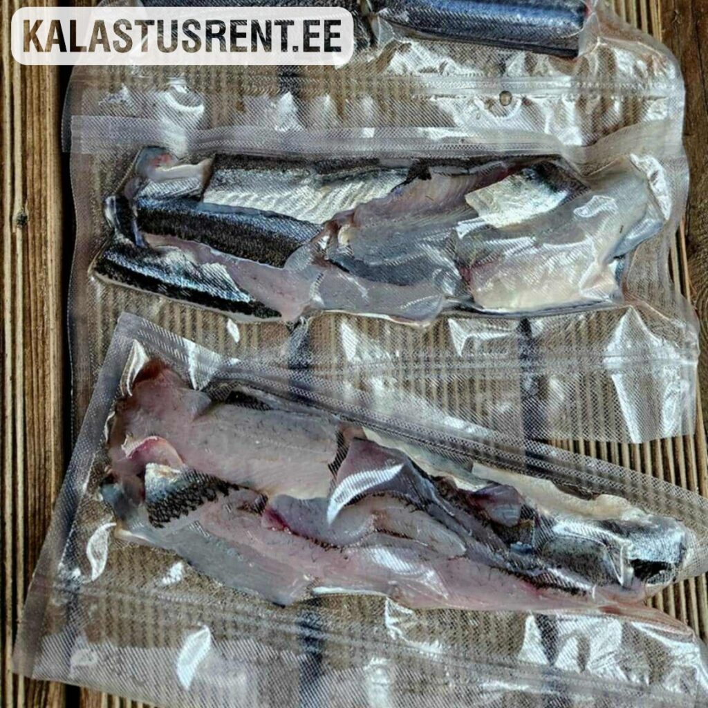 Kalastusrent.ee – värske kala fileed vaakumpakendis, ette valmistatud sügavkülmutamiseks. Näidis, kuidas kasutada vaakumkotti kala säilitamiseks kuni aastaks.