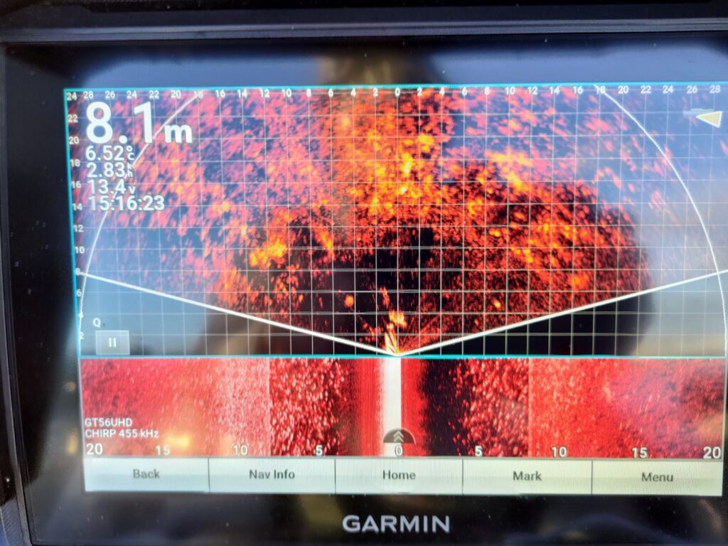 Garmini kajaloodi ekraanivaade, mis näitab 8,1 meetri sügavust, vee temperatuuri ja paadi kiirust; ülemises osas live-perspektiivne sonaripilt põhjastruktuurist ja kalaparvedest, alumises osas ajalooline side-imaging vaade GT56UHD andurilt.